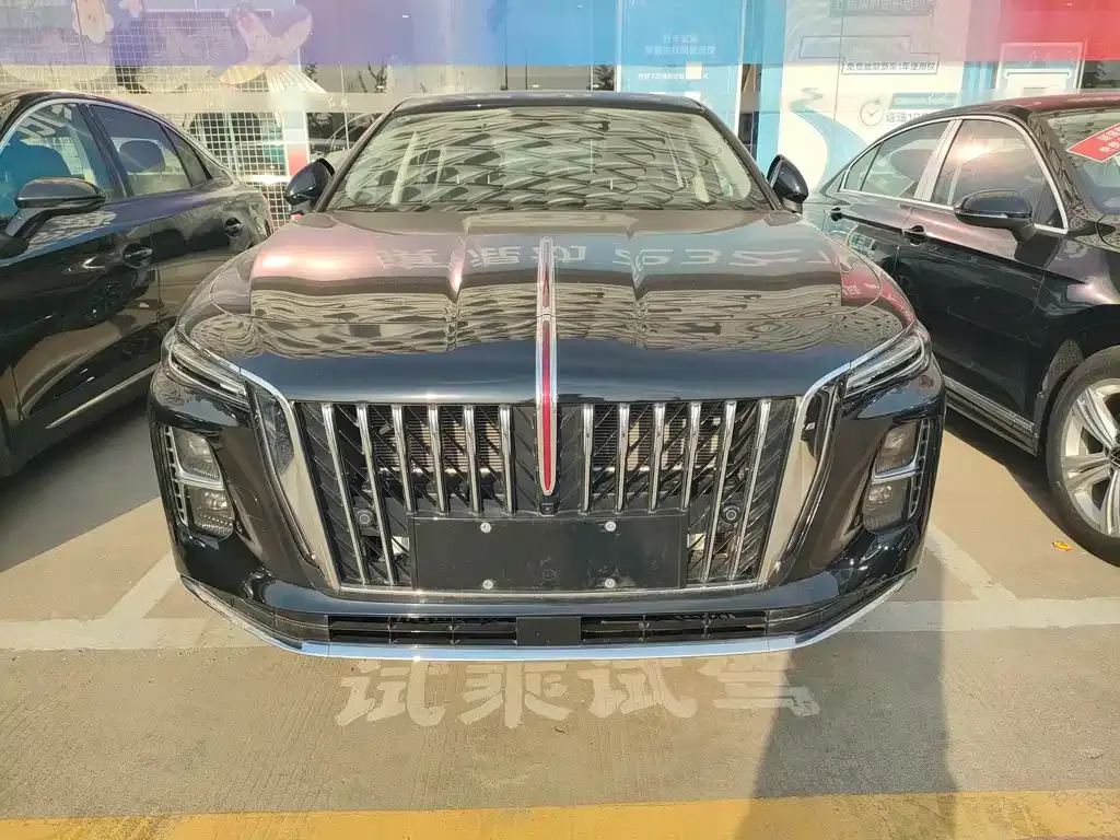 Hongqi H5 PHEV 2025 из CN, фото 9