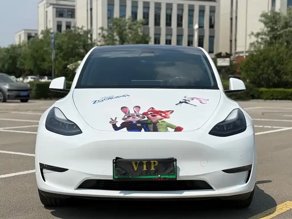 Tesla Model Y — фото 10