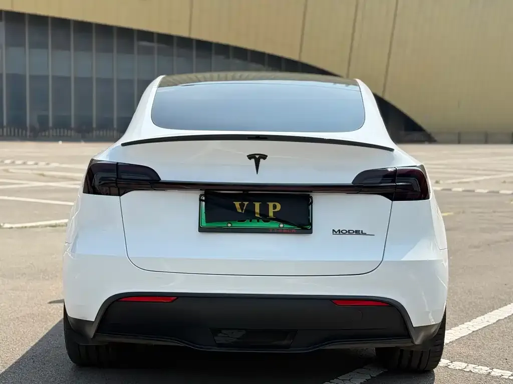 Tesla Model Y — фото 6