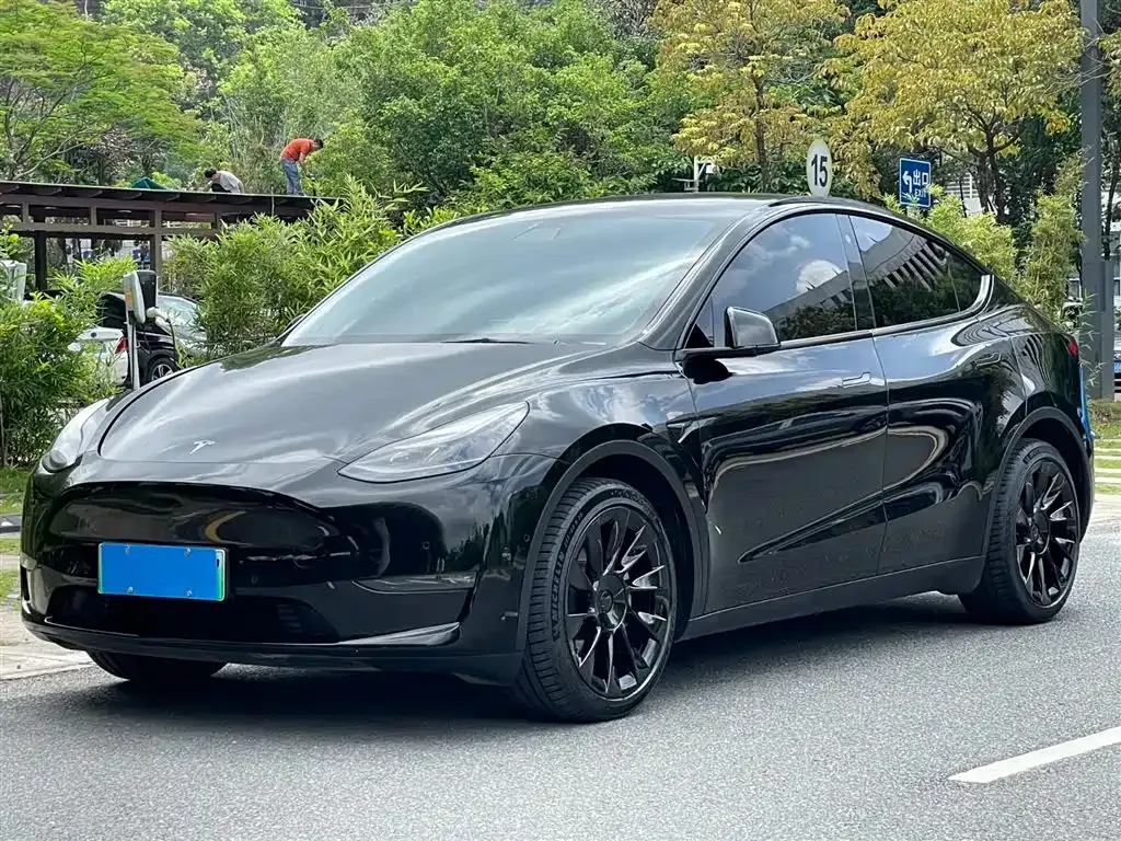 Tesla Model Y — фото 1