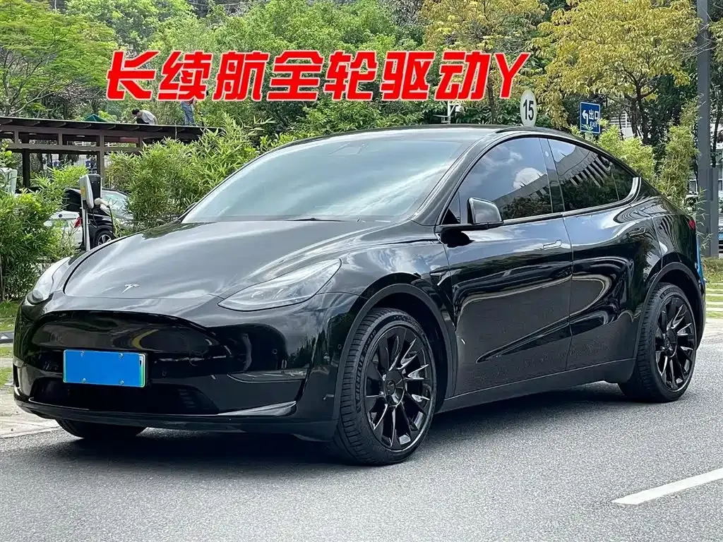 Tesla Model Y — фото 9