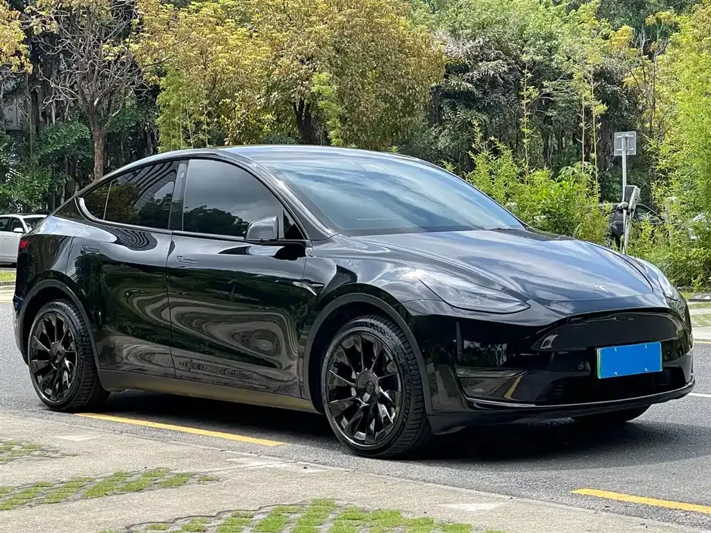 Tesla Model Y — фото 8
