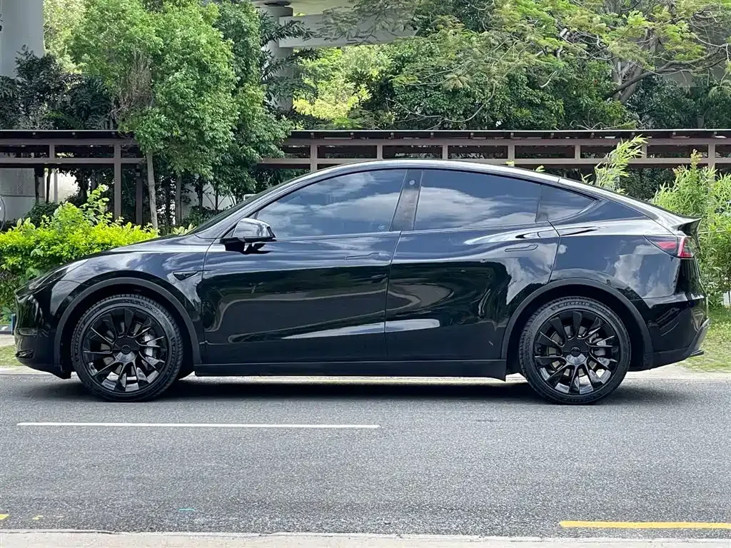 Tesla Model Y — фото 10