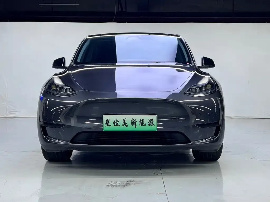 Tesla Model Y — фото 2
