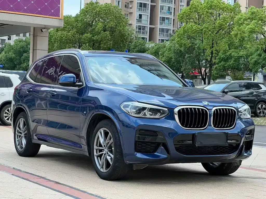 BMW X3 2021 из CN, фото 6