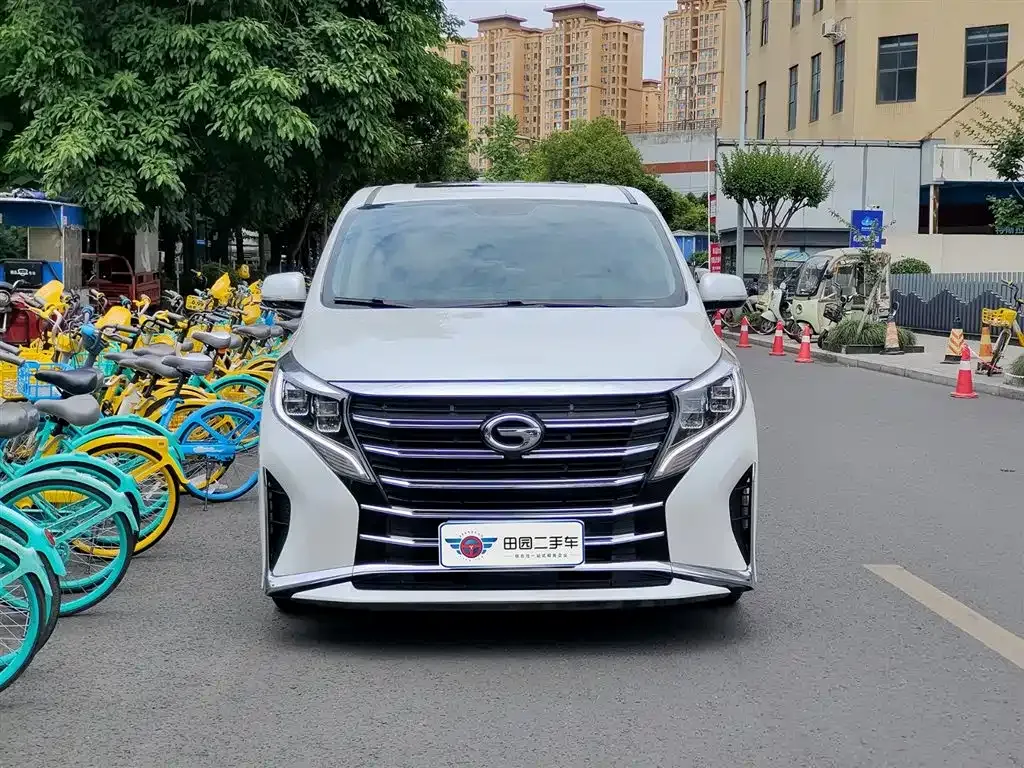 GAC Motor Trumpchi M8 2024 из CN, фото 6
