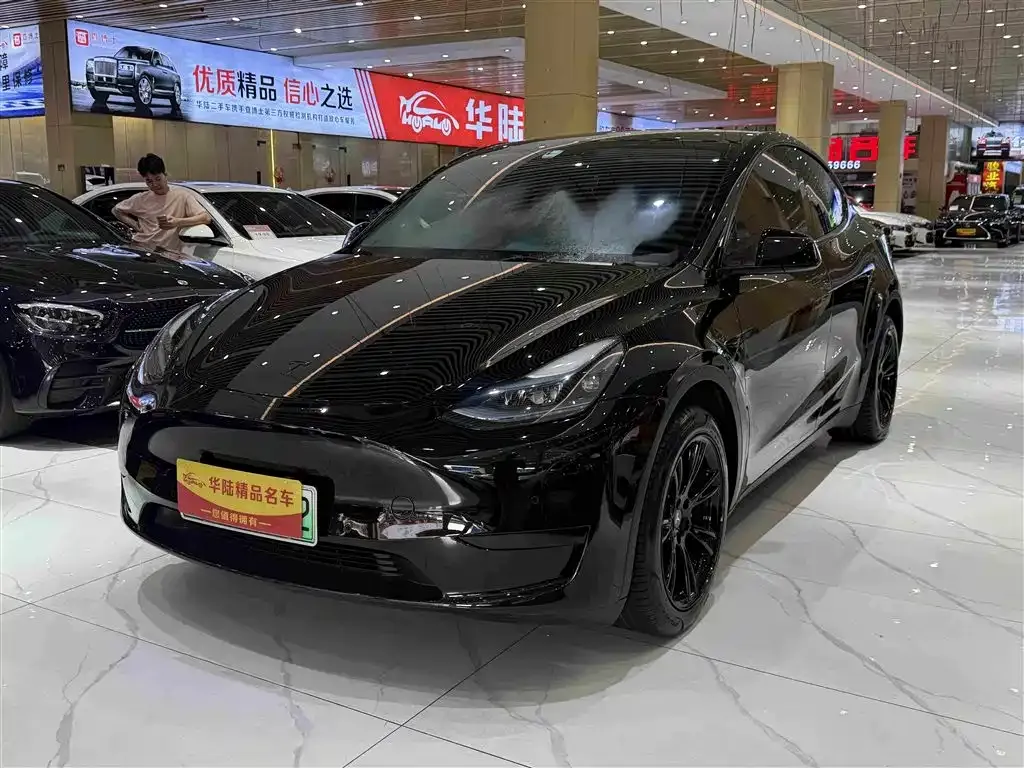 Tesla Model Y — фото 1