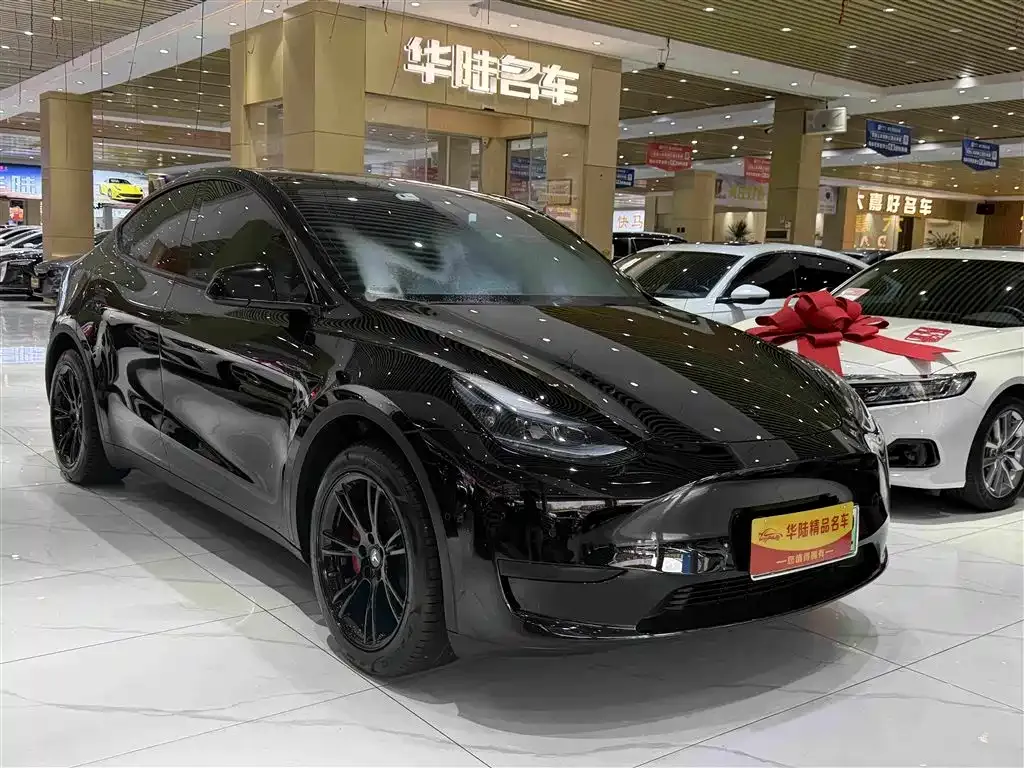 Tesla Model Y — фото 5