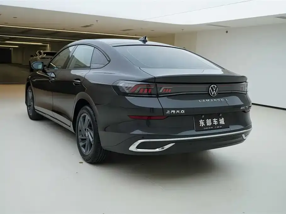 Volkswagen Lamando — фото 9