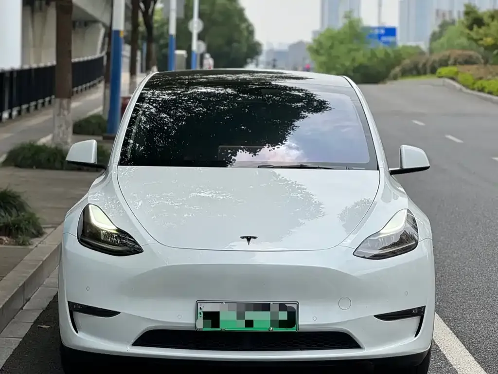 Tesla Model Y — фото 6