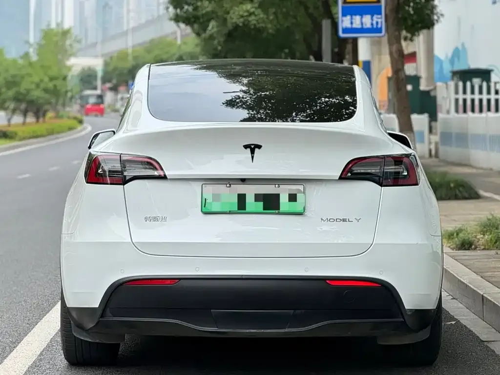 Tesla Model Y — фото 9