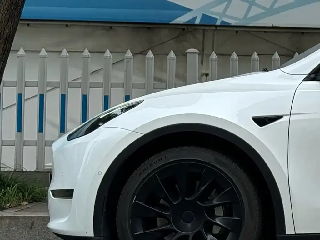 Tesla Model Y — фото 3