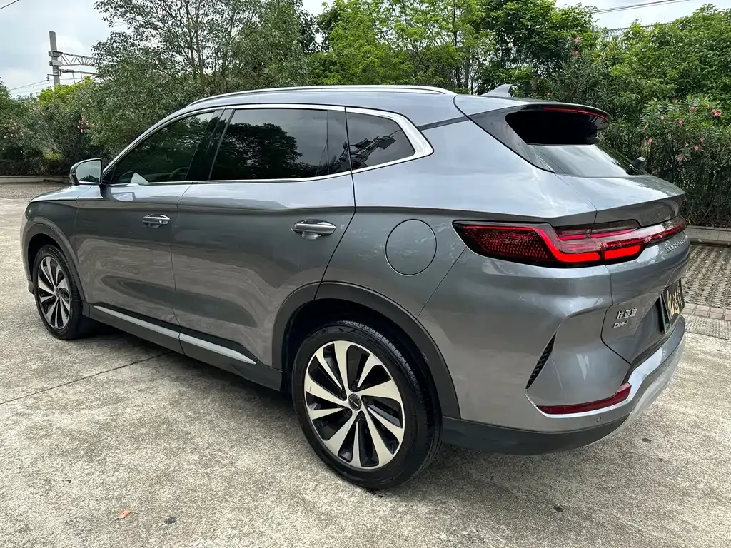BYD PLUS New Energy 2024 из CN, фото 9
