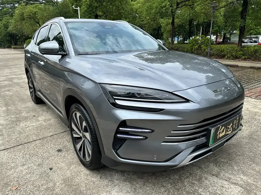 BYD PLUS New Energy 2024 из CN, фото 2
