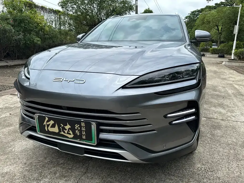 BYD PLUS New Energy 2024 из CN, фото 4