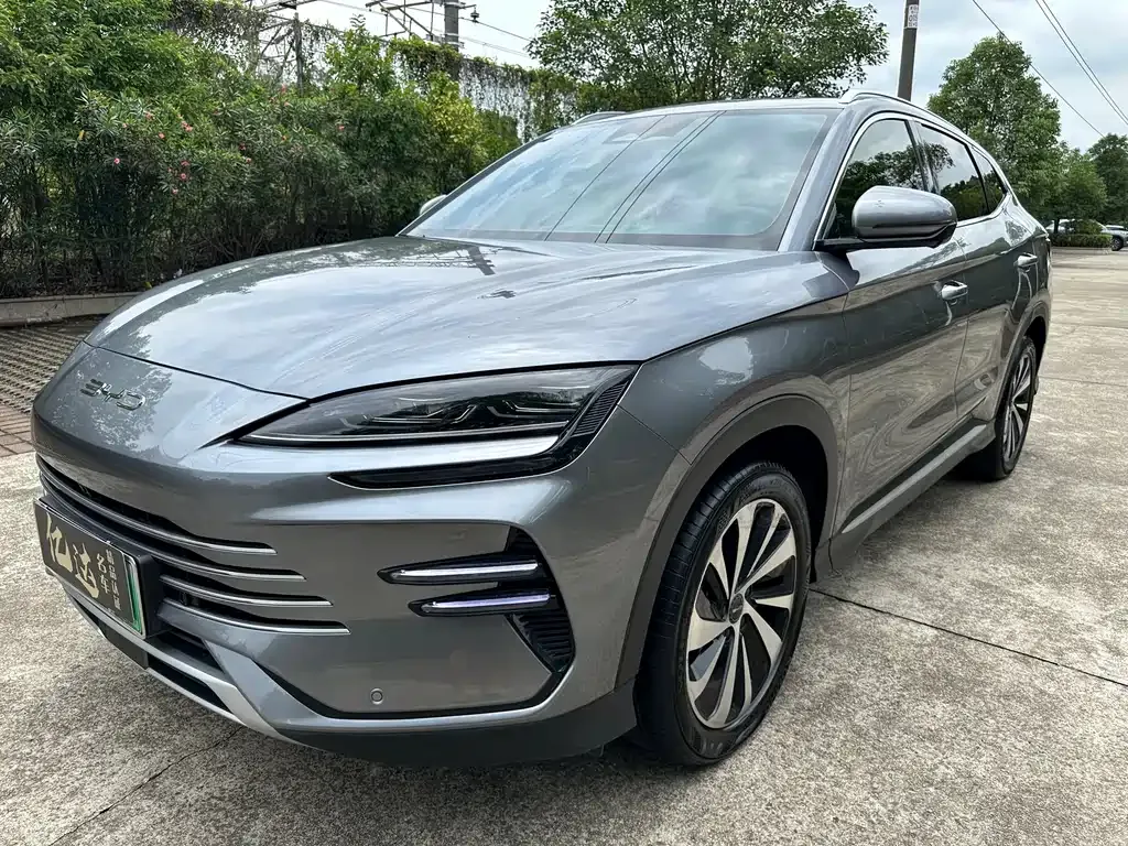 BYD PLUS New Energy 2024 из CN, фото 3