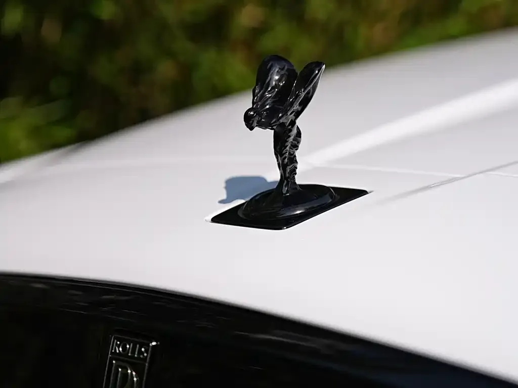 Rolls-Royce Cullinan 2021 из CN, фото 2
