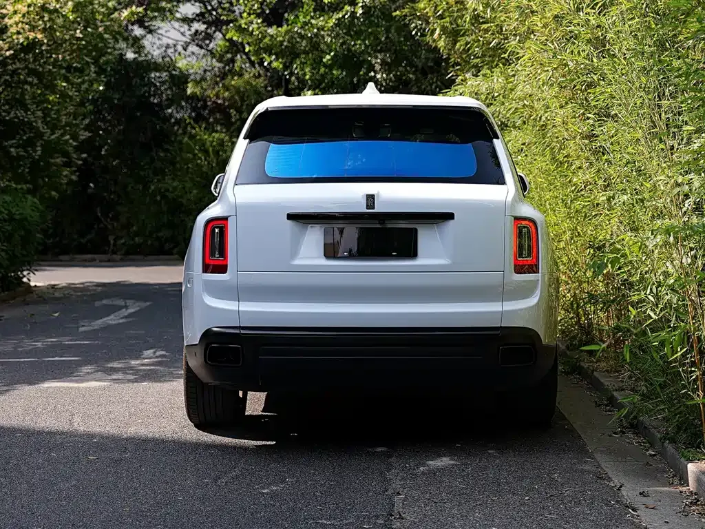 Rolls-Royce Cullinan 2021 из CN, фото 8