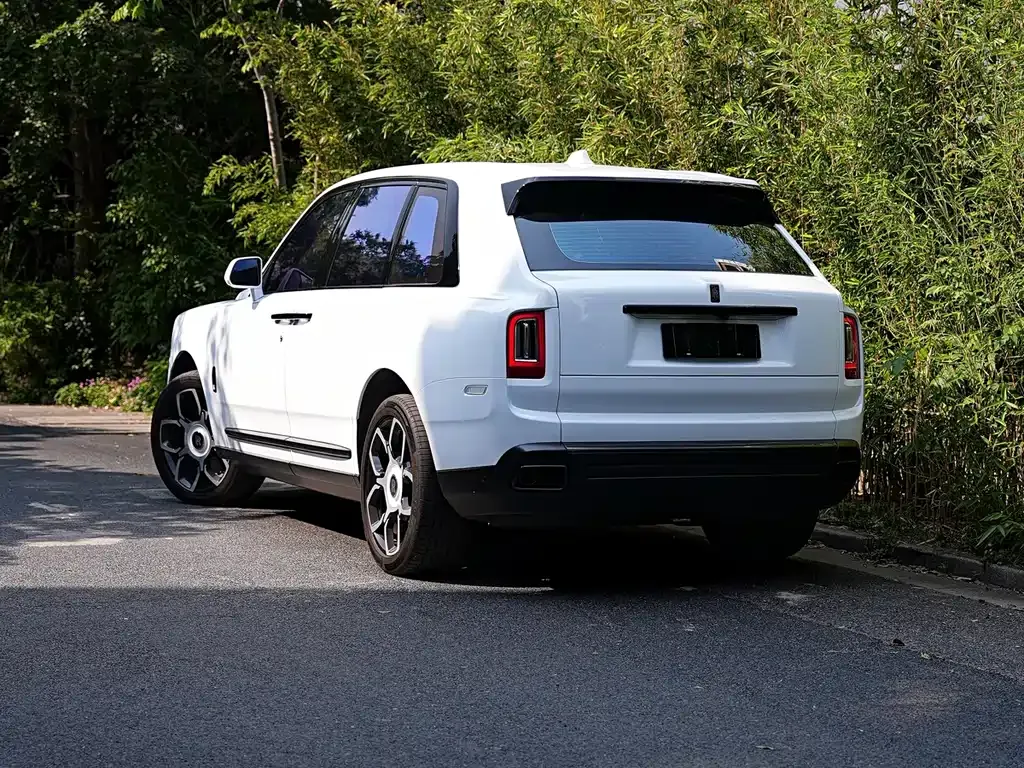 Rolls-Royce Cullinan 2021 из CN, фото 9