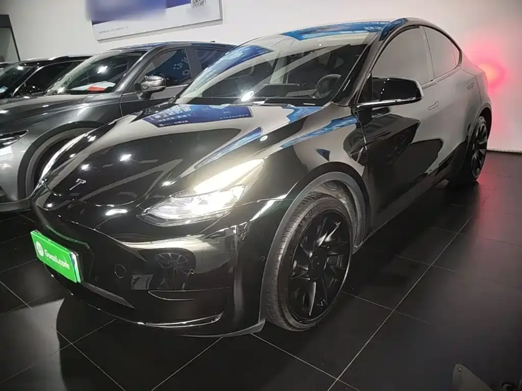 Tesla Model Y — фото 1