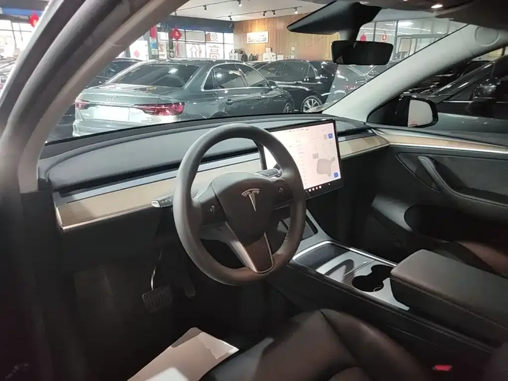 Tesla Model Y — фото 9