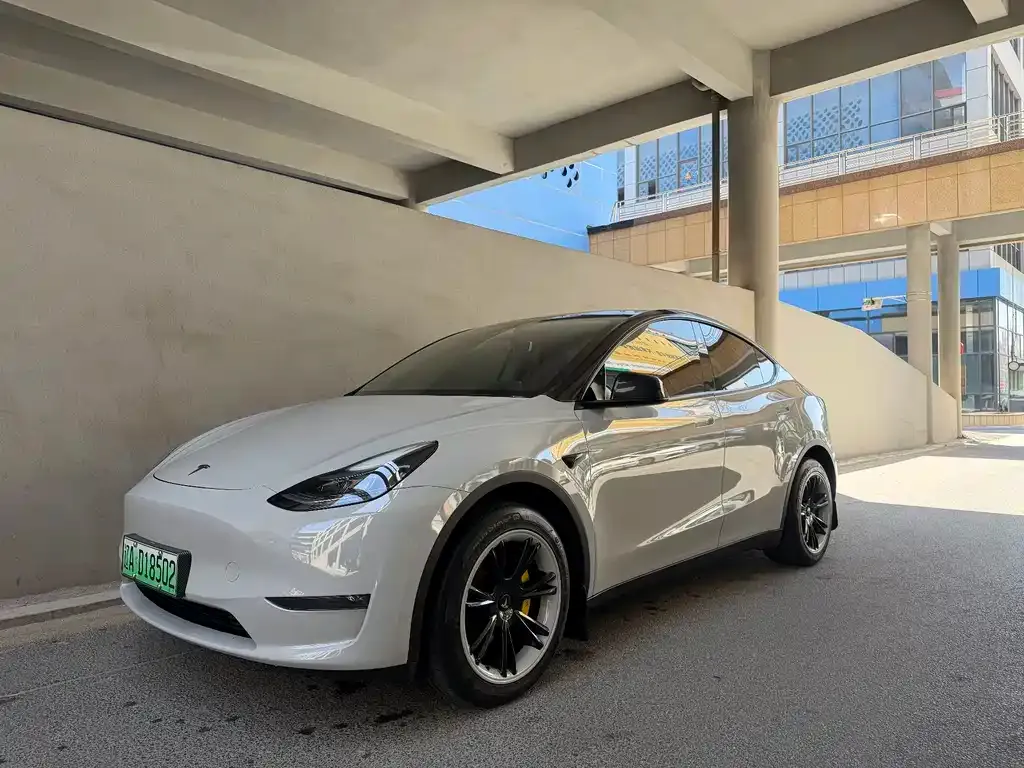 Tesla Model Y — фото 1