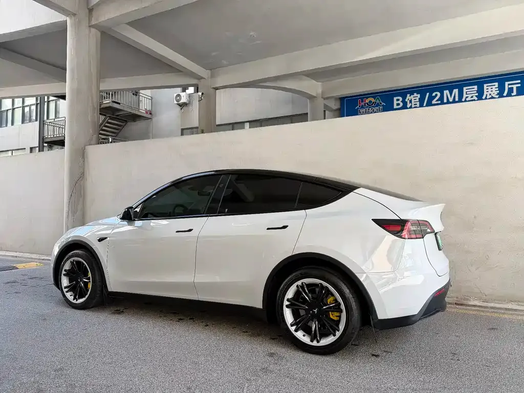 Tesla Model Y — фото 3