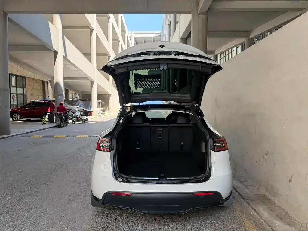 Tesla Model Y — фото 5