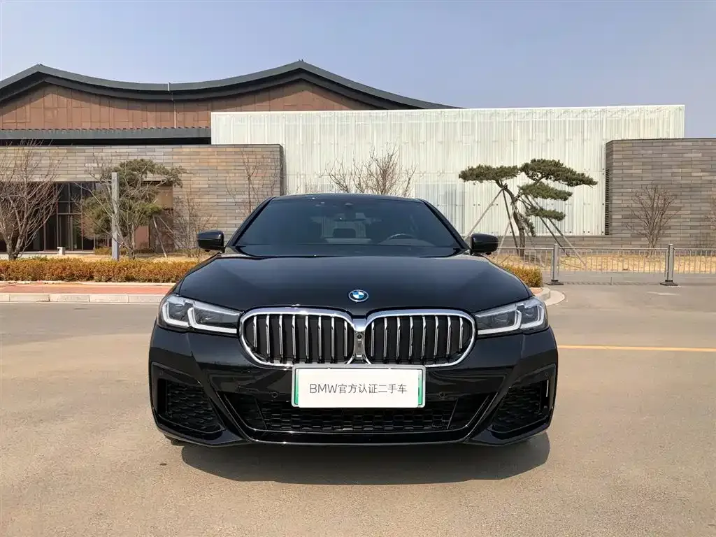BMW 5 Series New Energy 2024 из CN, фото 7