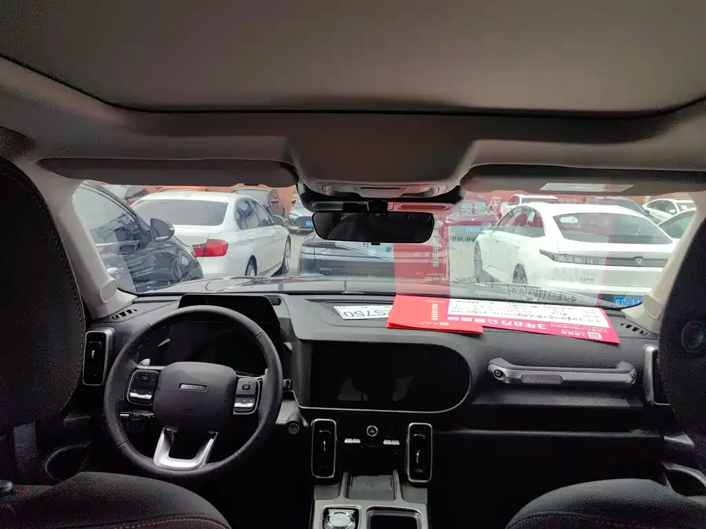 Haval Big Dog 2024 из CN, фото 10