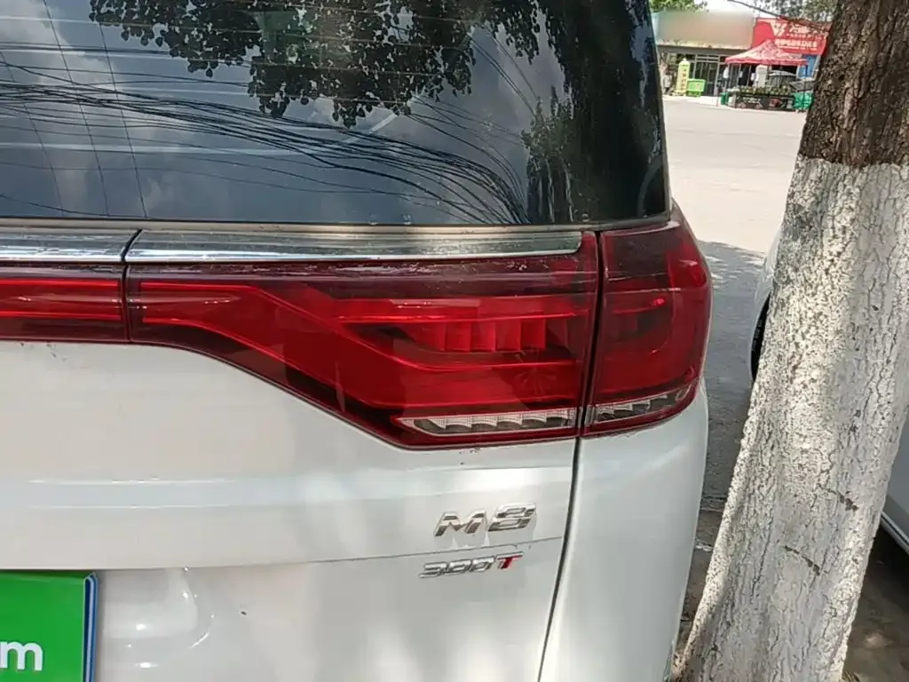 GAC Motor Trumpchi M8 2024 из CN, фото 10