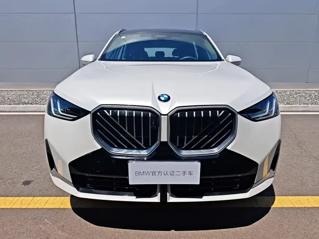 BMW X3 2025 из CN, фото 9