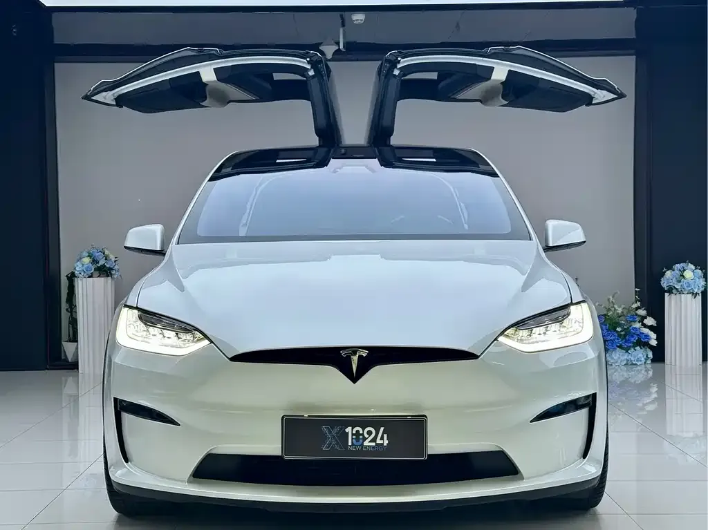 Tesla Model X 2023 из CN, фото 7