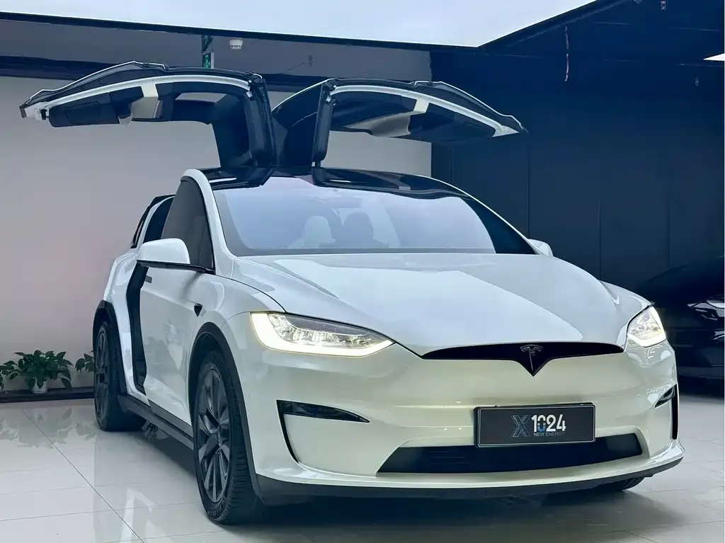 Tesla Model X 2023 из CN, фото 6