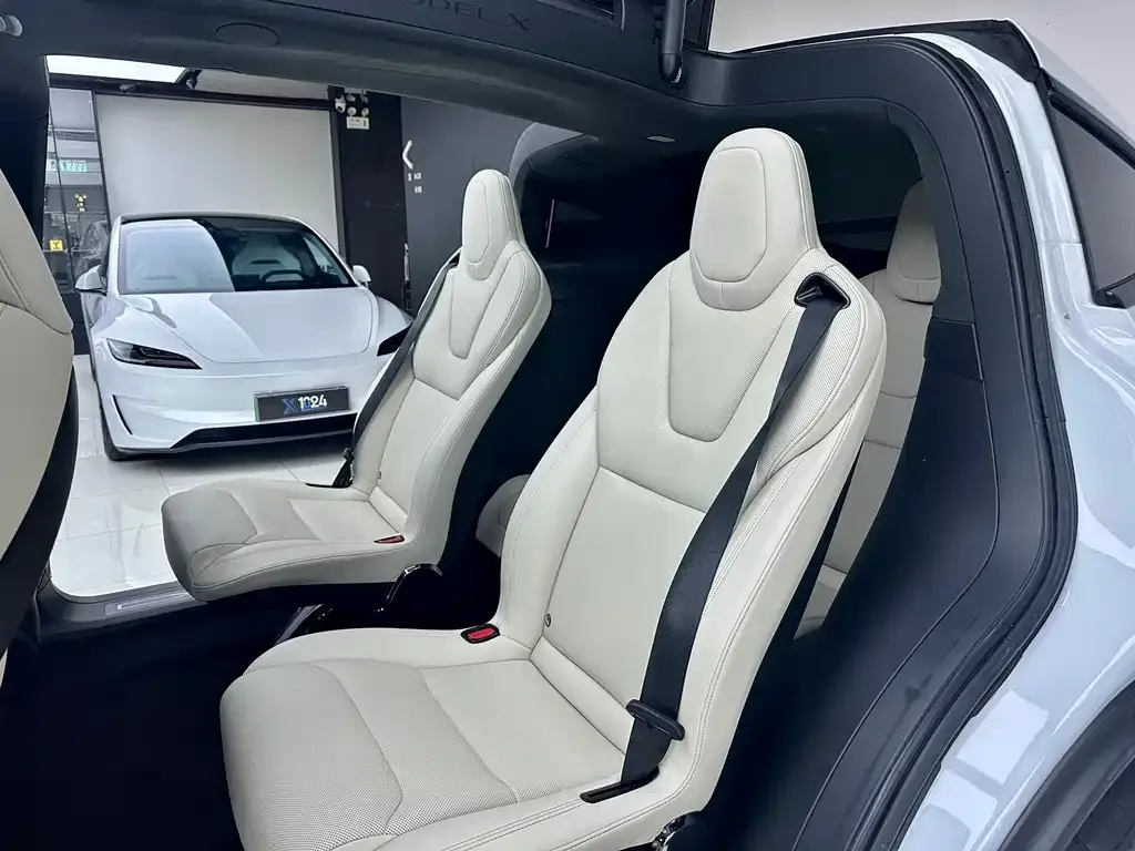 Tesla Model X 2023 из CN, фото 3
