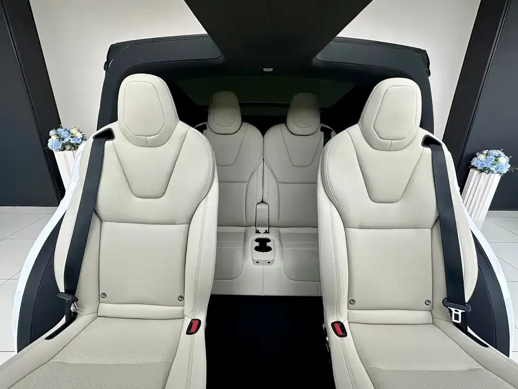 Tesla Model X 2023 из CN, фото 4