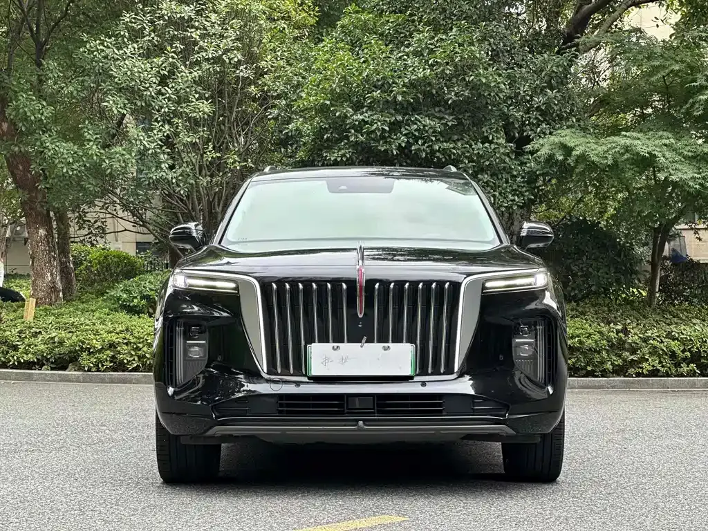Hongqi E-HS9 2021 из CN, фото 6