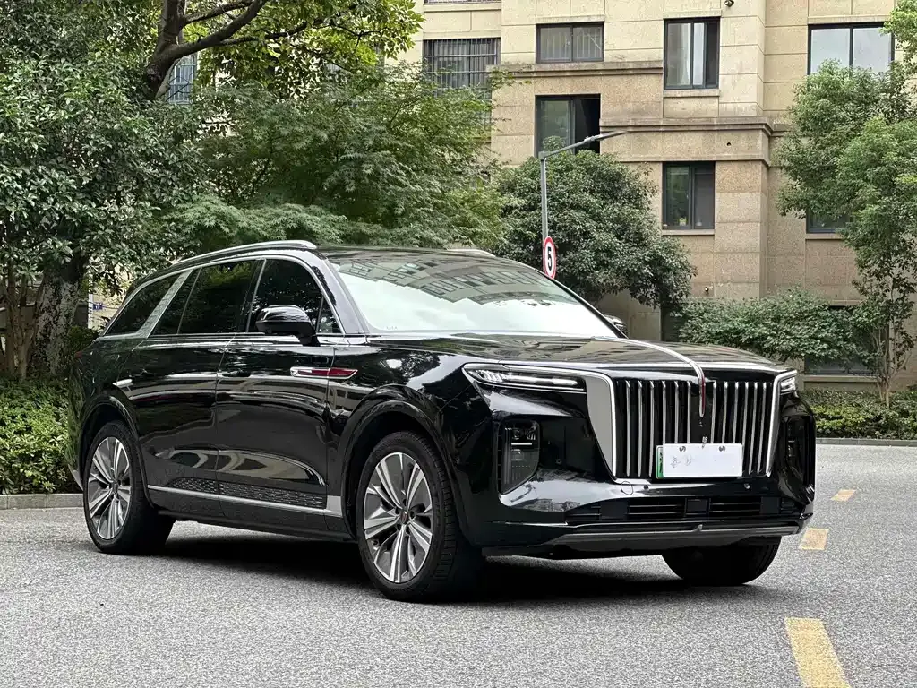 Hongqi E-HS9 2021 из CN, фото 8