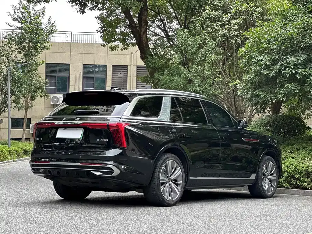 Hongqi E-HS9 2021 из CN, фото 5