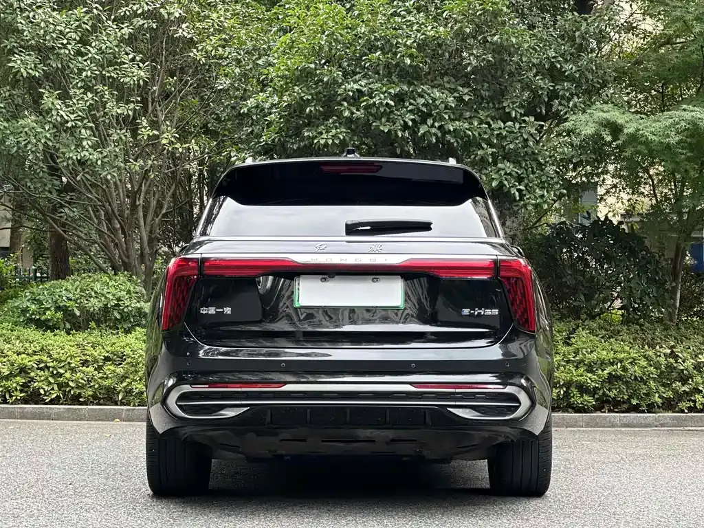 Hongqi E-HS9 2021 из CN, фото 9