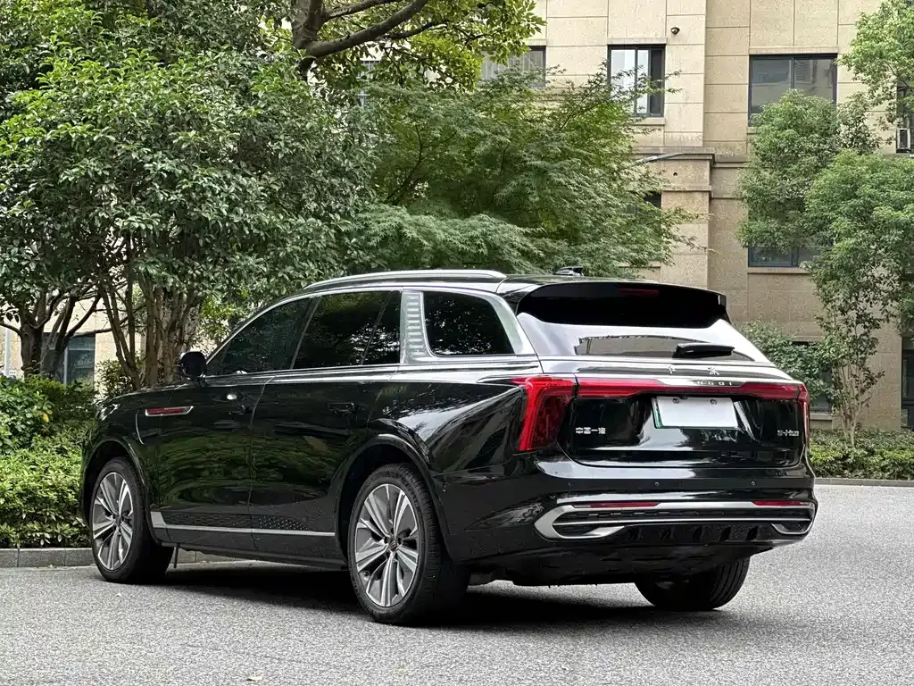 Hongqi E-HS9 2021 из CN, фото 7