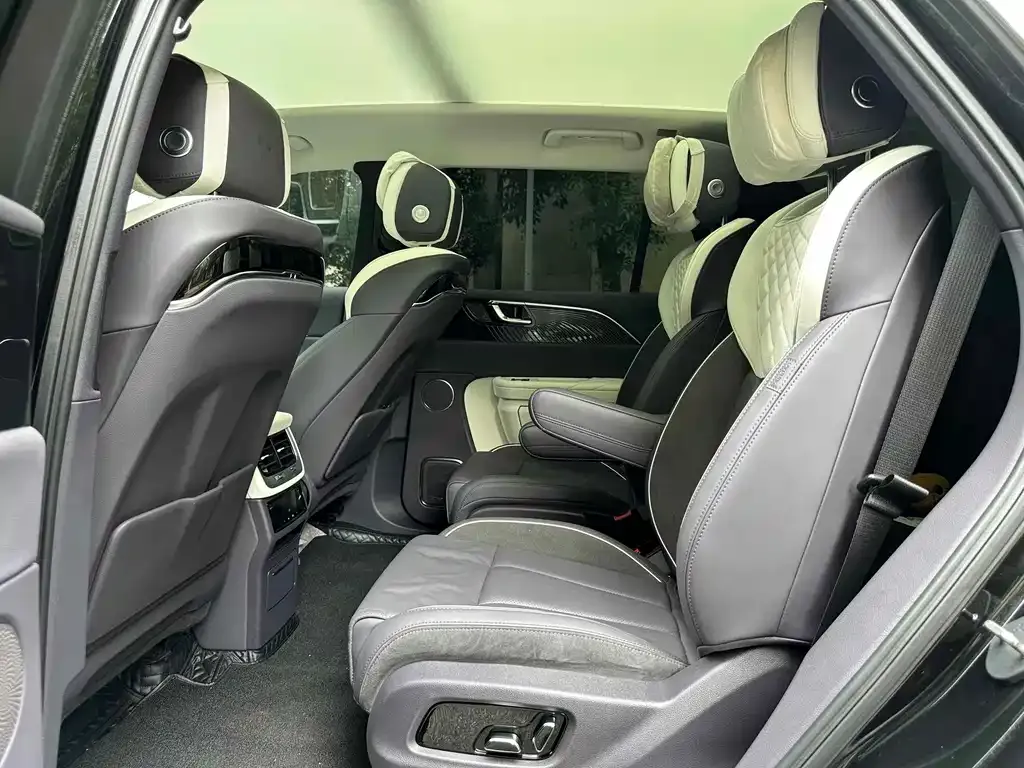 Hongqi E-HS9 2021 из CN, фото 2