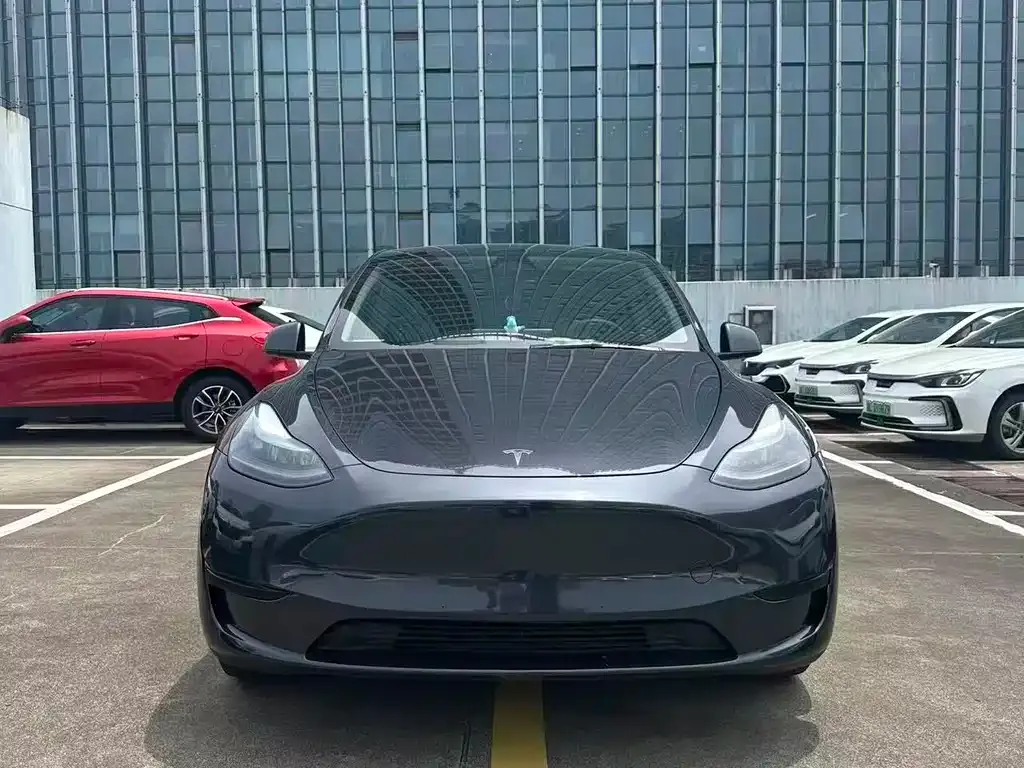 Tesla Model Y — фото 1
