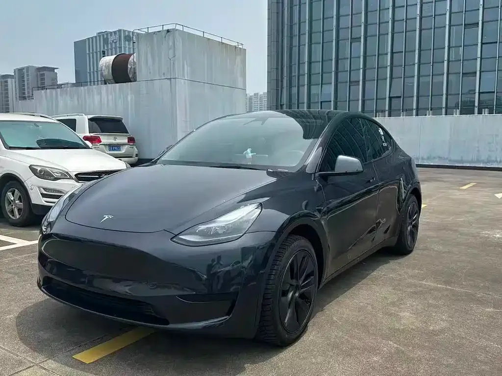 Tesla Model Y — фото 10