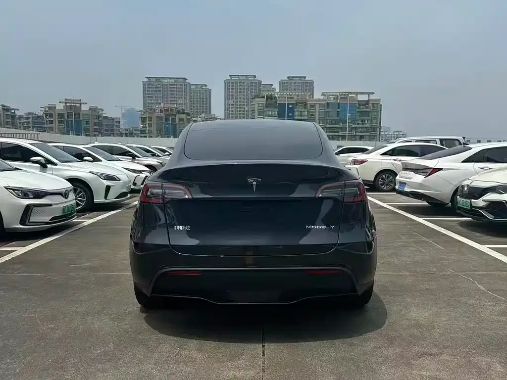 Tesla Model Y — фото 3