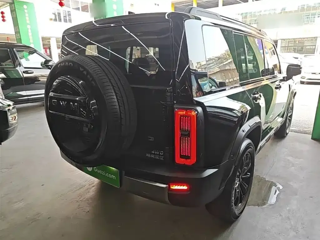 Haval Raptor 2025 из CN, фото 5