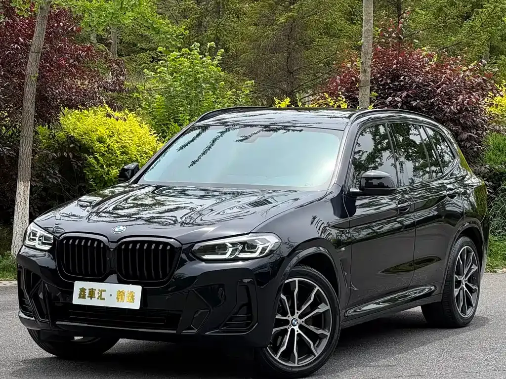BMW X3 — фото 1