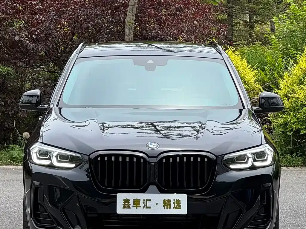 BMW X3 — фото 10