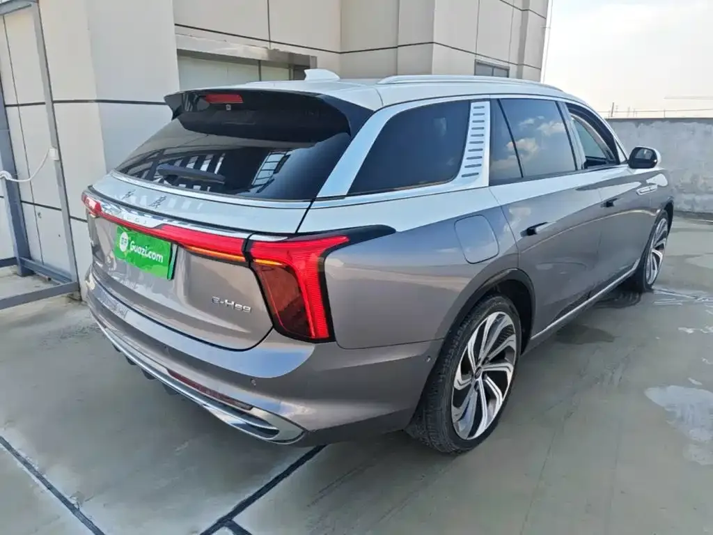 Hongqi E-HS9 — фото 10