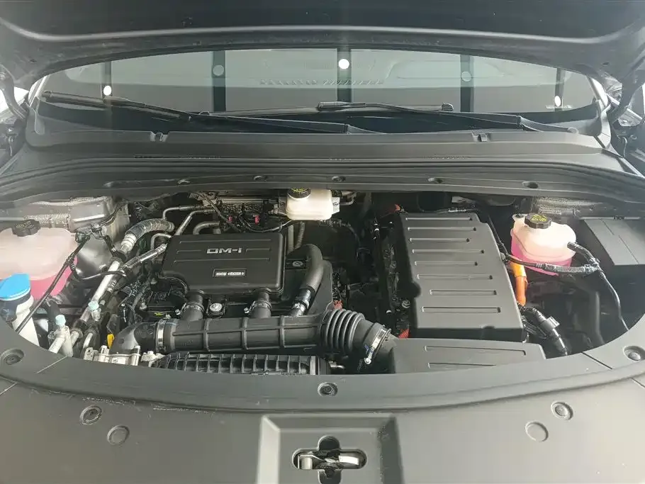 BYD L DM-i 2024 из CN, фото 7